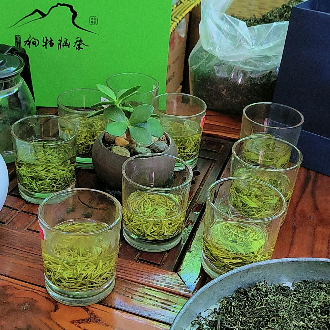 江姐（江西遂川狗牯脑茶）