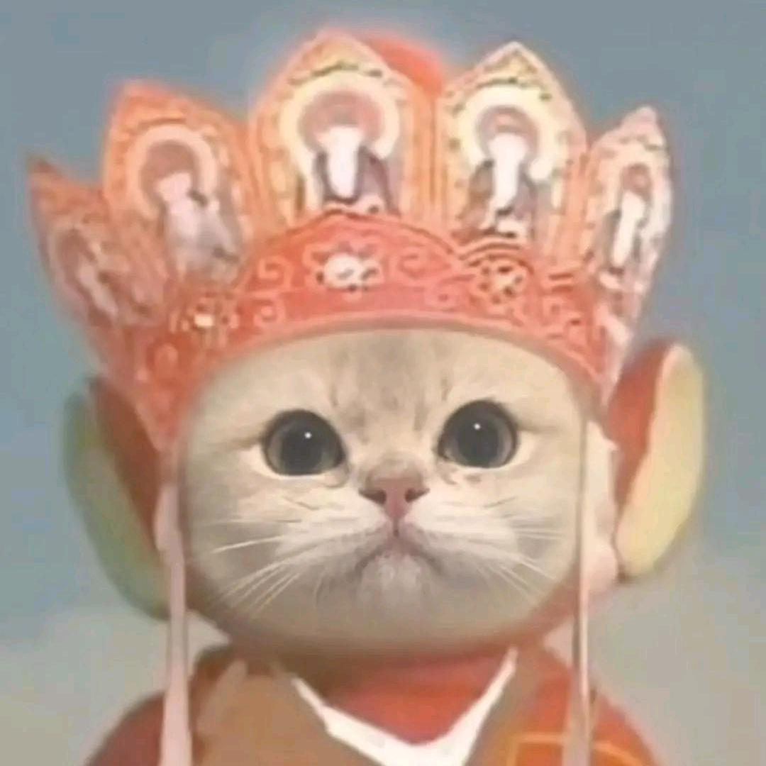问问问问♞