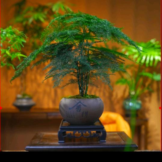 新的一年新的开始