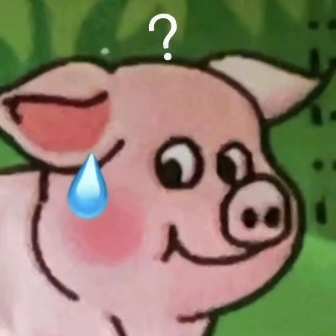 我的白熊不见了