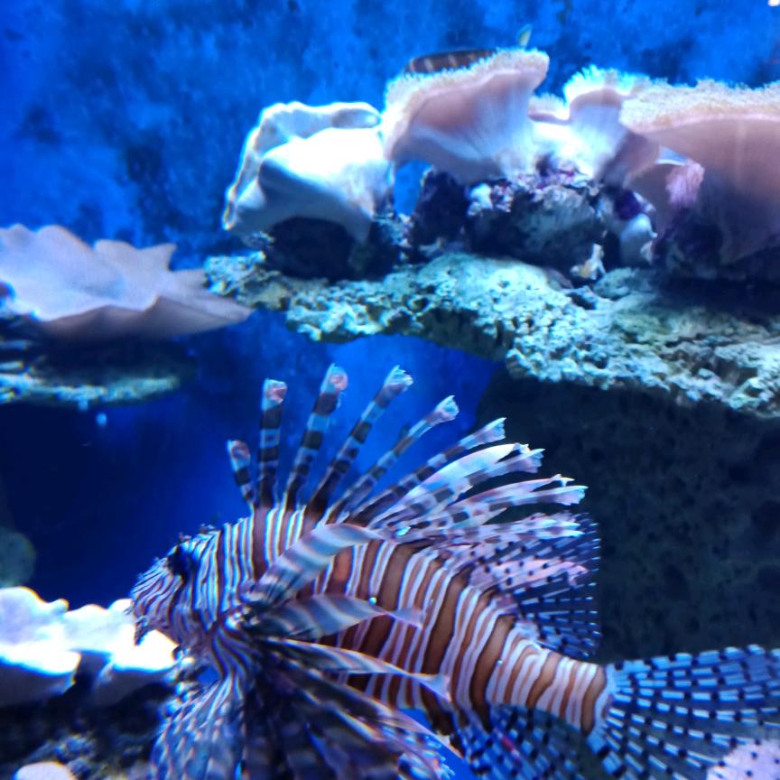 苑您快乐每一天！