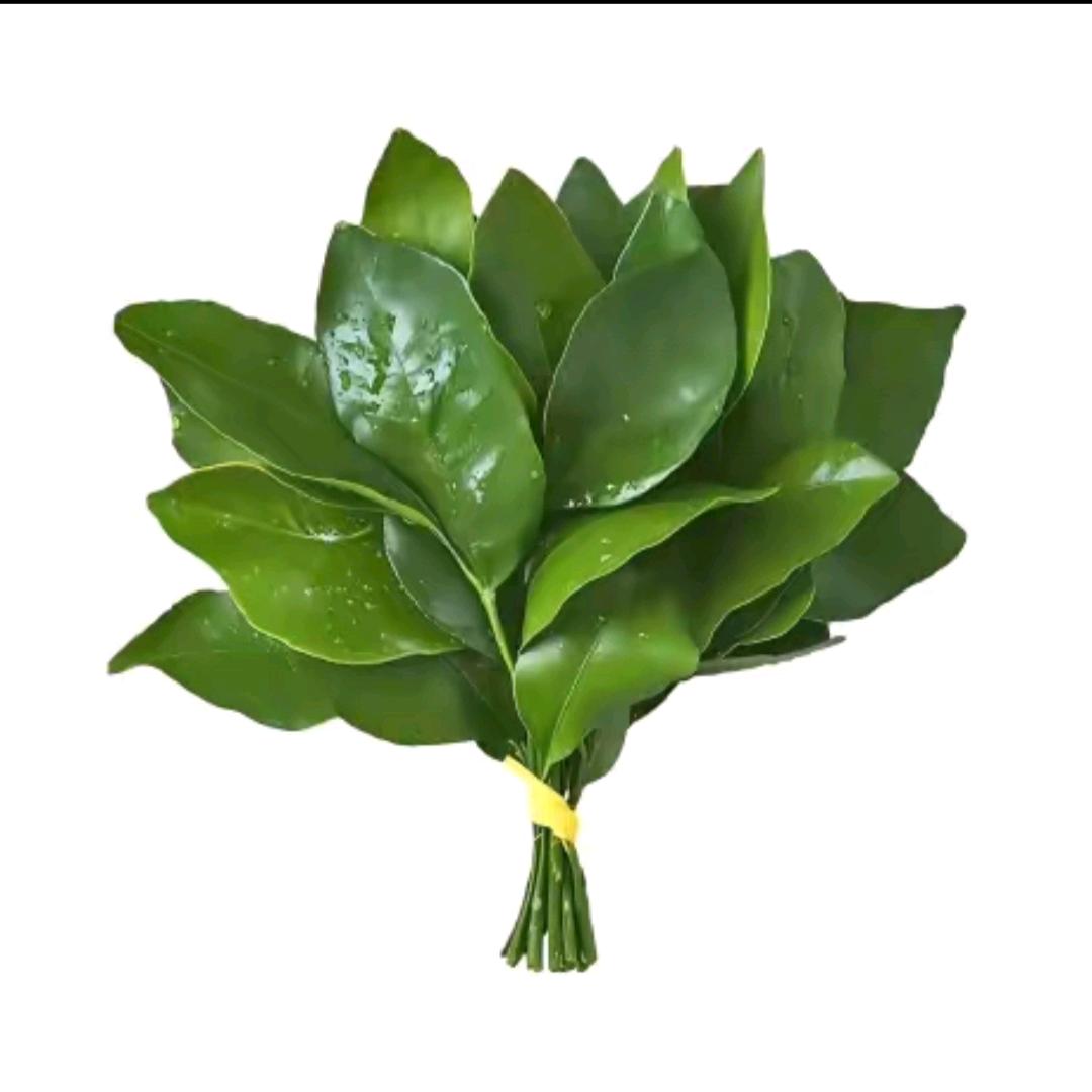 🍏浅影