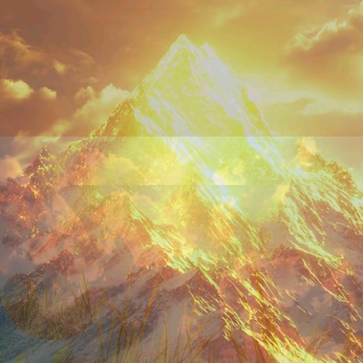 多豪