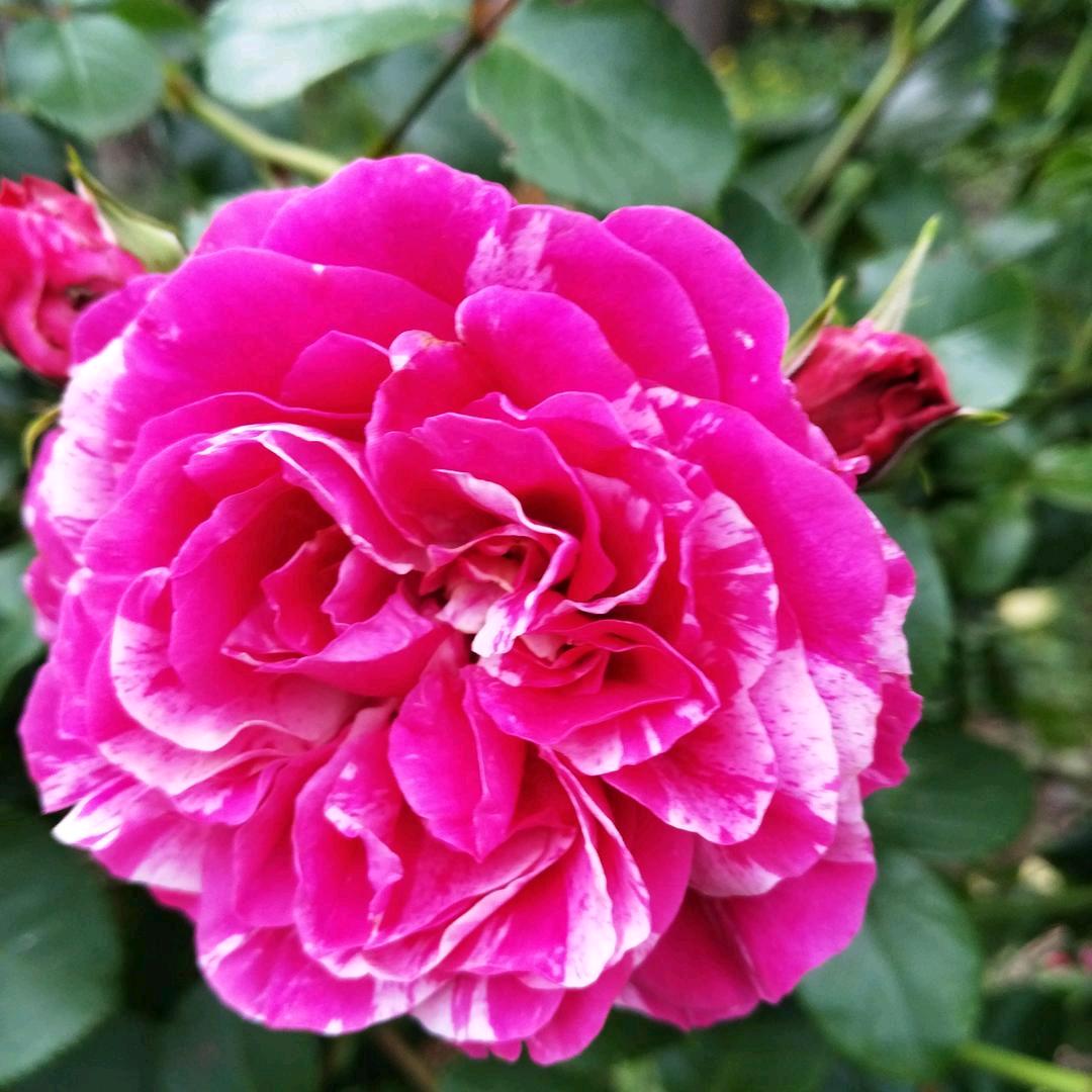 事事顺❤️宗友芬