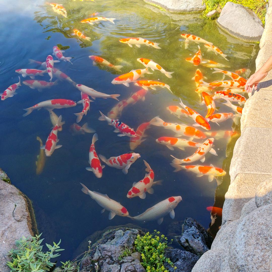 迟早是个小富婆💝