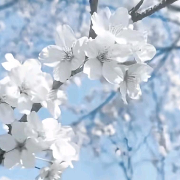 ★莉莉好物优选★