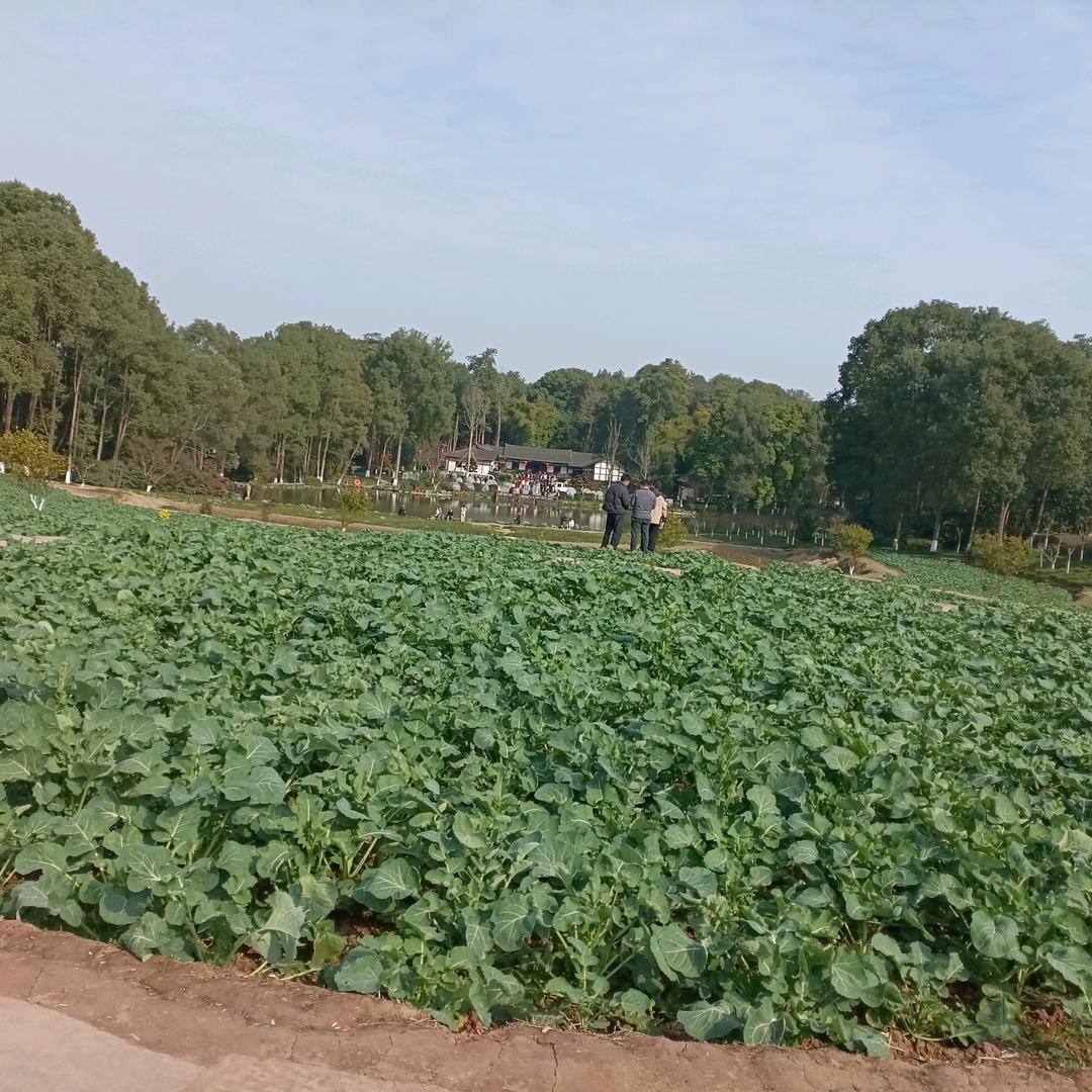 远离事飞之地