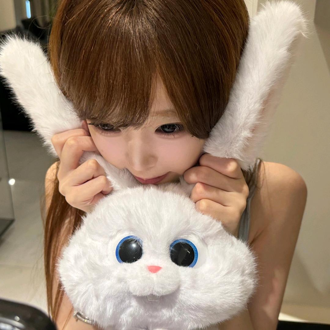 猫猫头🍀