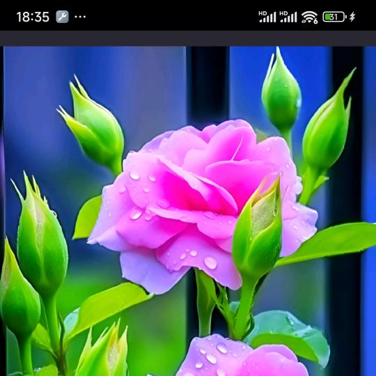 💞越来🌸越好🌺💖