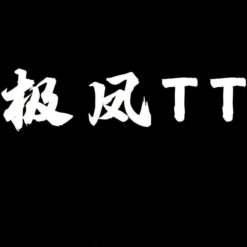 極凤TT
