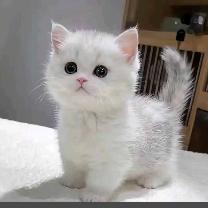 一帆风顺(*^ω^*)