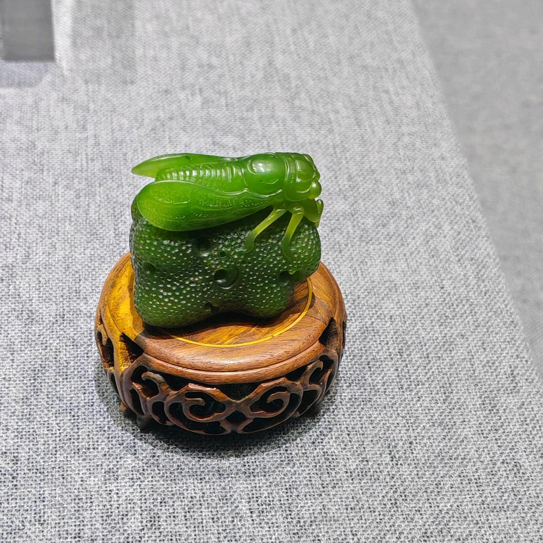 从心启航