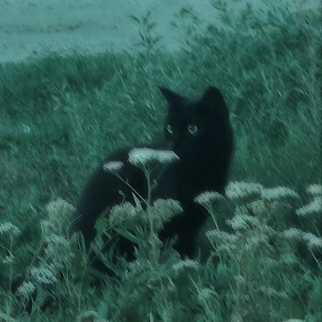 超级大组曲