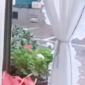 梁姐姐（晚上10: 30）