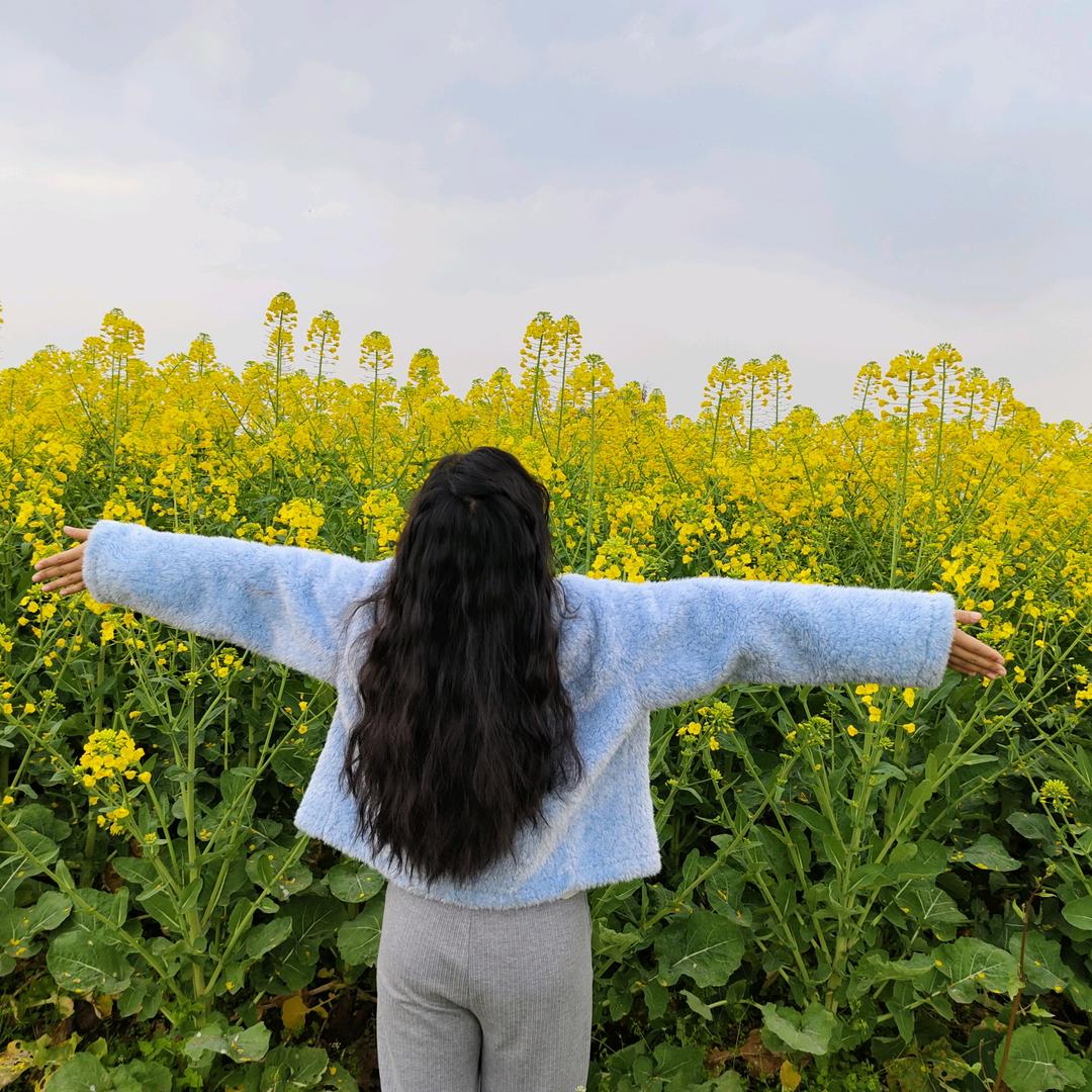 羊了个杨女士❤️