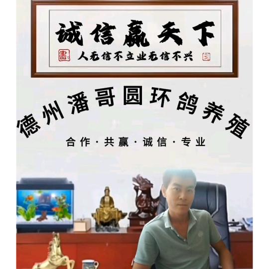 德州潘哥，富民鸽业，