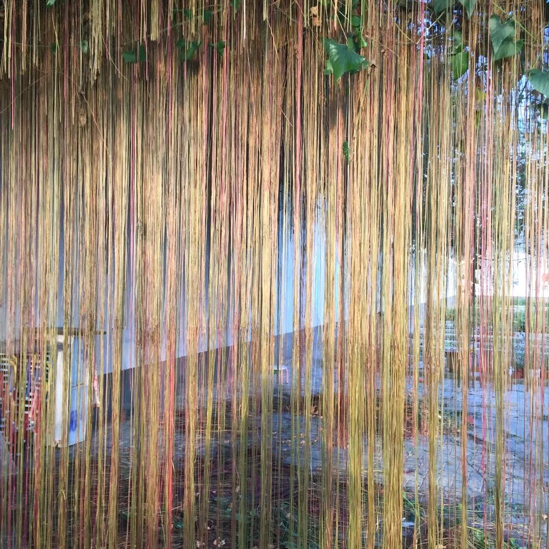 宝珠