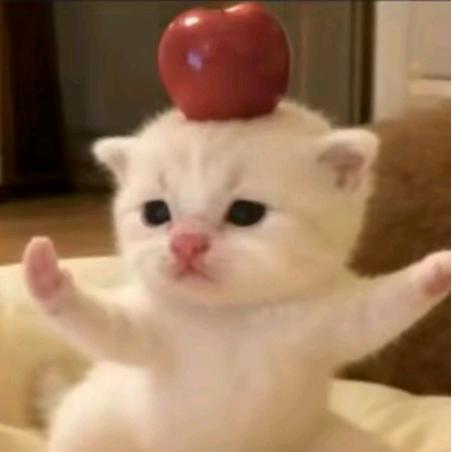 oO头像