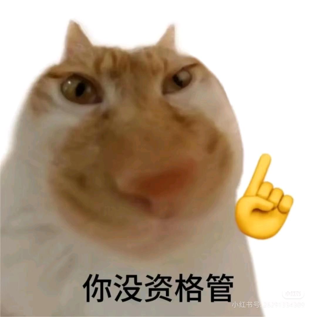 咪嗷喵