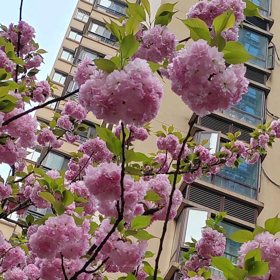 陈陈