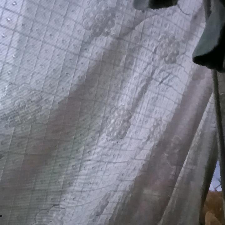 飞翔云南