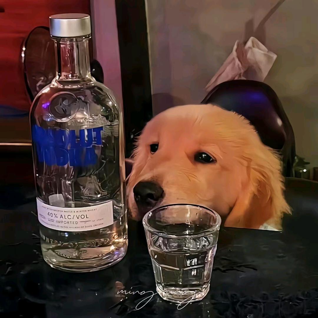 喆国王-三角洲行动