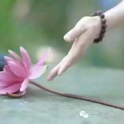 𝕎𝕒ཽ𝕟ۖ𝕘ۣۖ