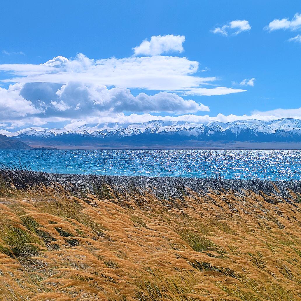 酒后代驾，机场接送，长途代驾服务