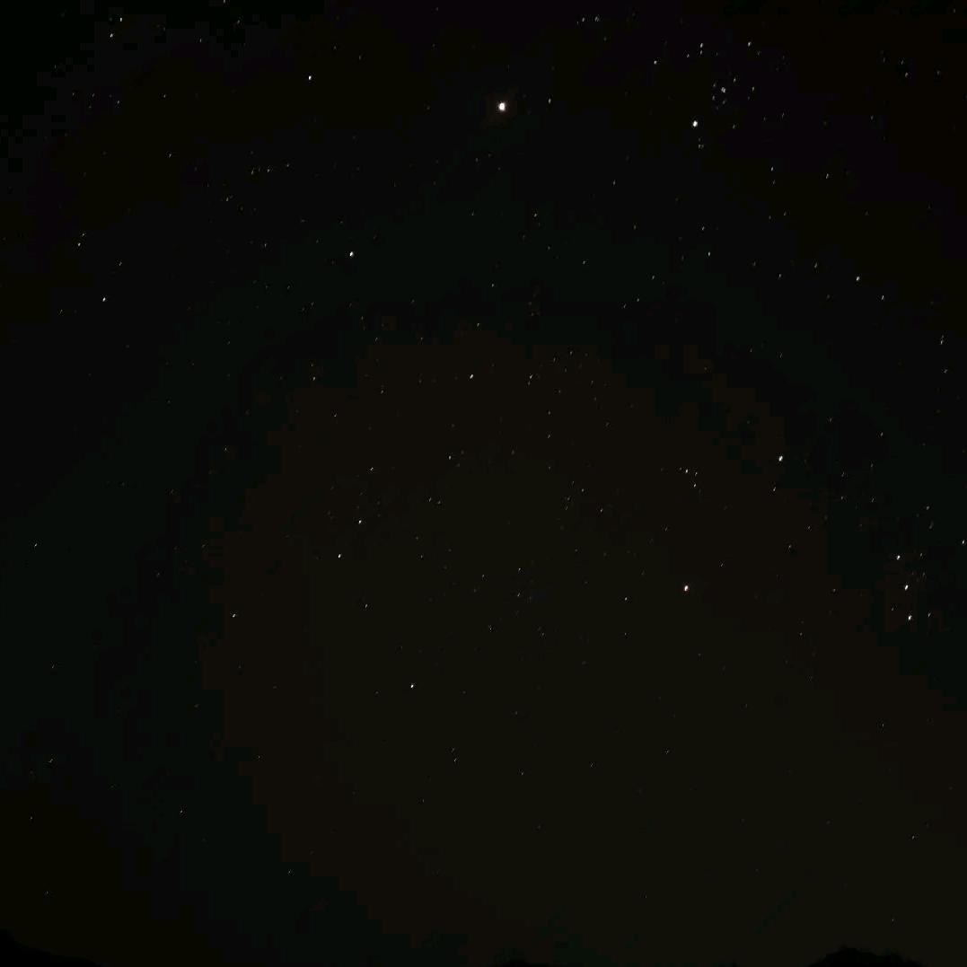 煎馒头