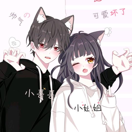 绵绵花🌸🌼🌹🍁🌲