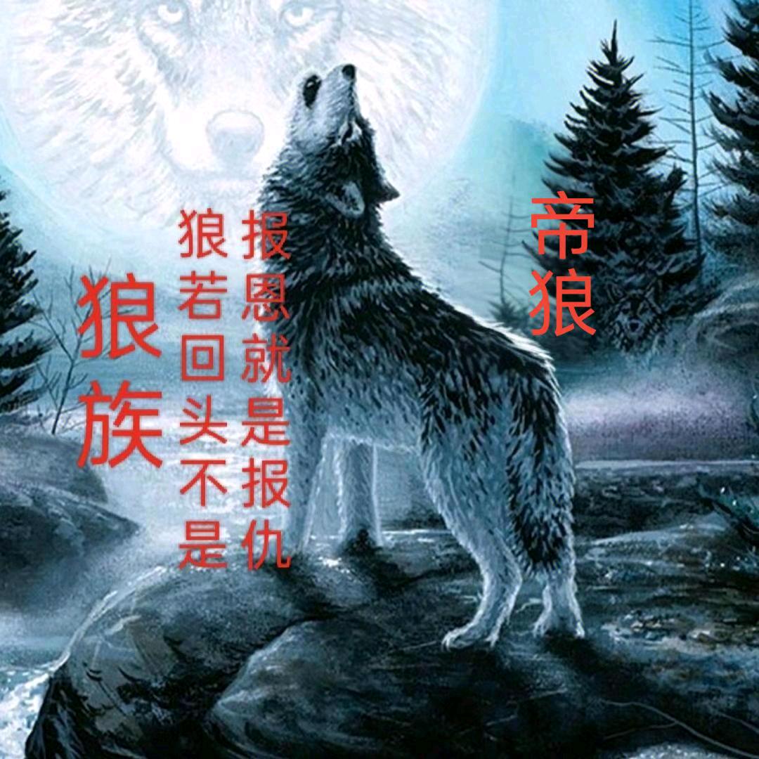 帝狼🔥狼族字幕🔥❄⁷¹³