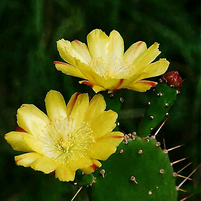 有好运，有好生活。