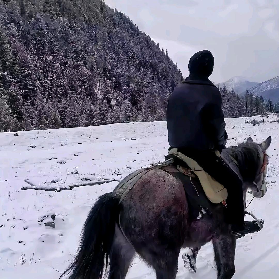 zz（团队招人）