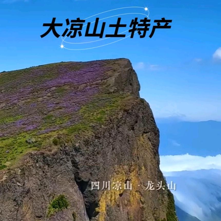 百香觉食品坊