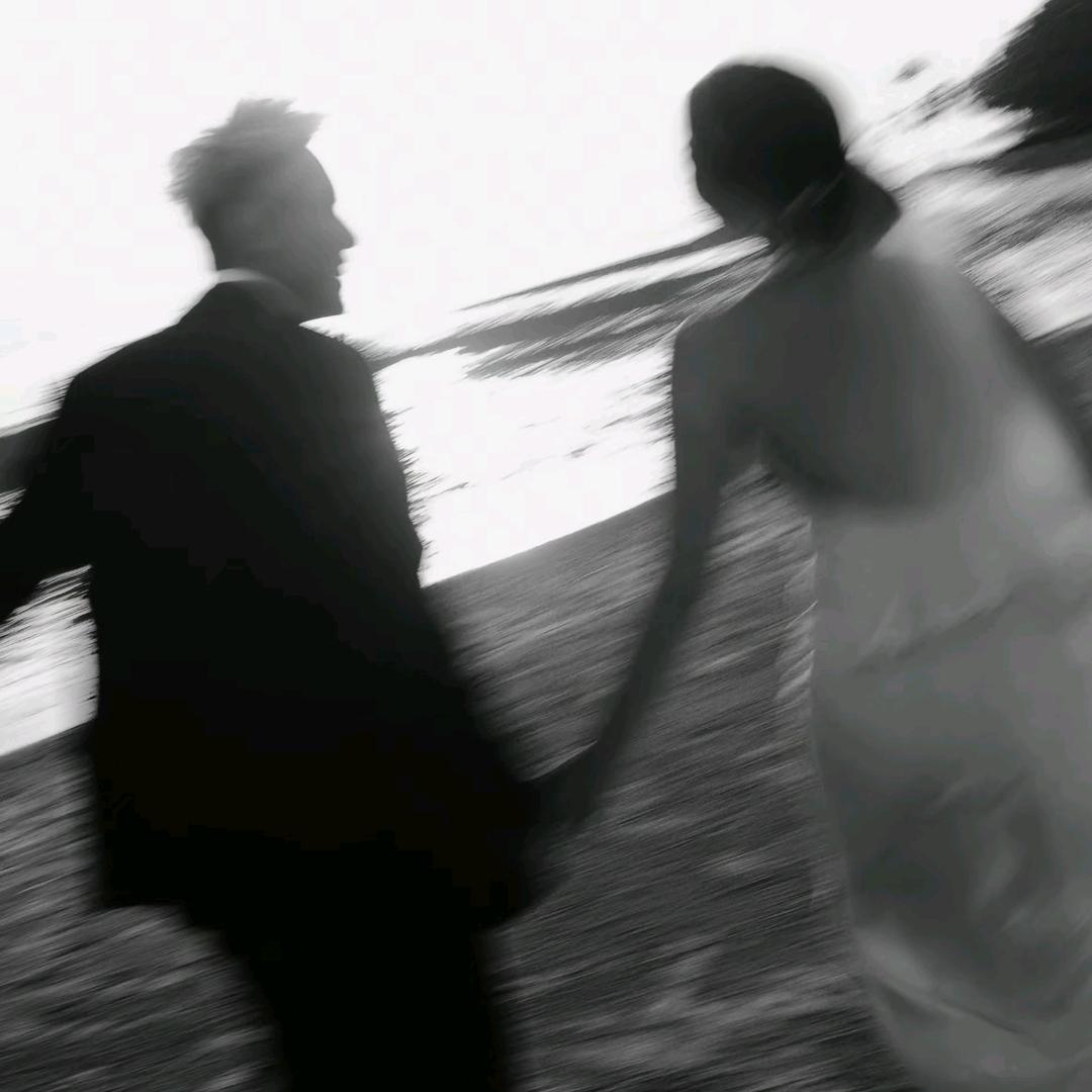 🐶🐏🐷🦓🐻🐸🐥🐬