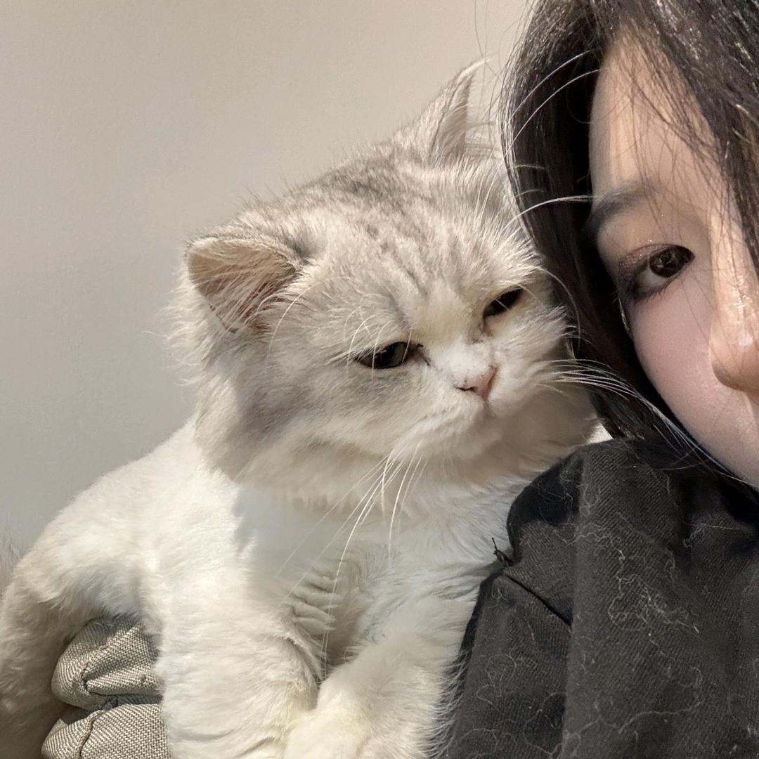 森泯蹄