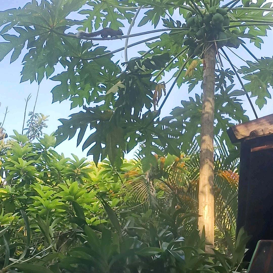 没得罪过