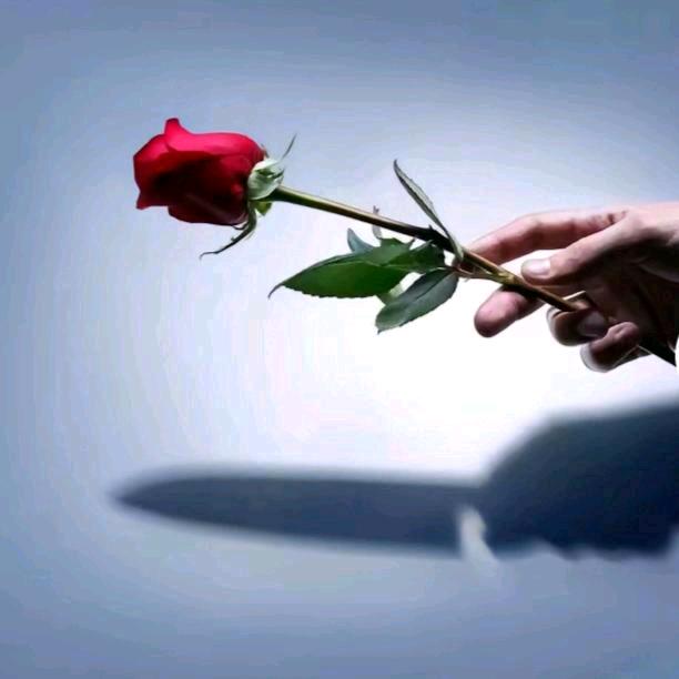 疾风起，不言弃