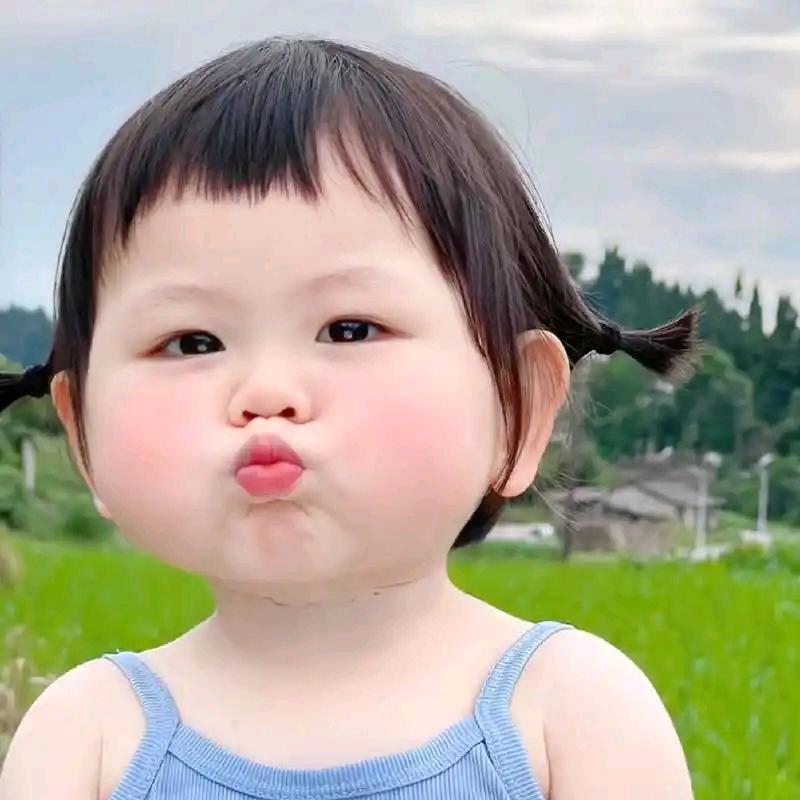 改革春风吹满地