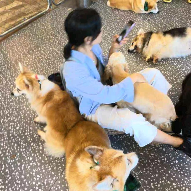 隔岸观火人