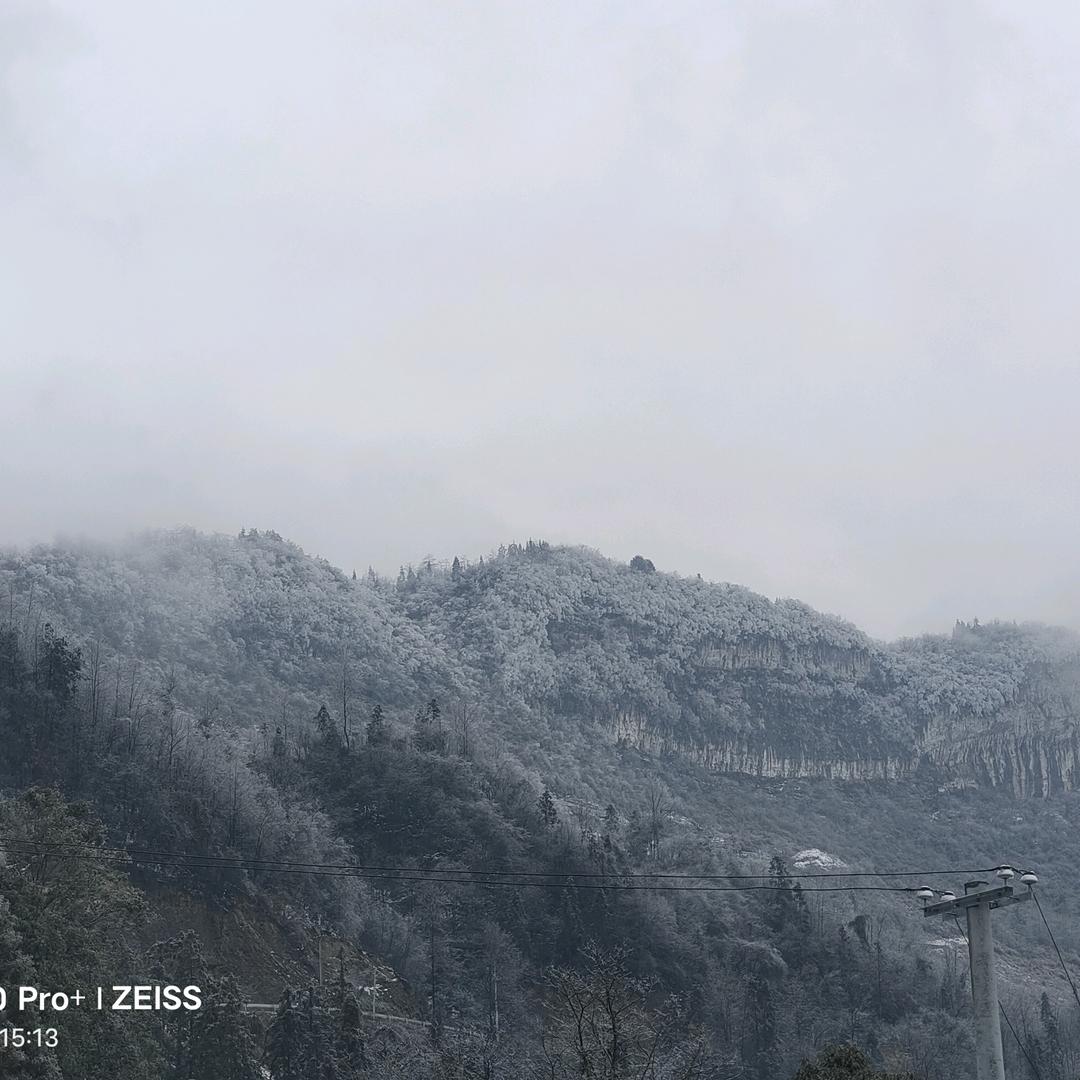 糊涂