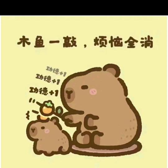向阳花开922