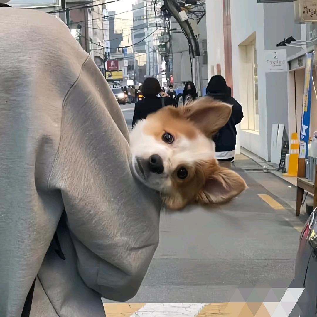 蜀乡农货铺