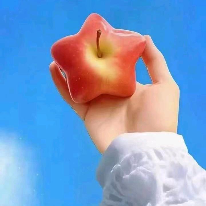 探戈尔