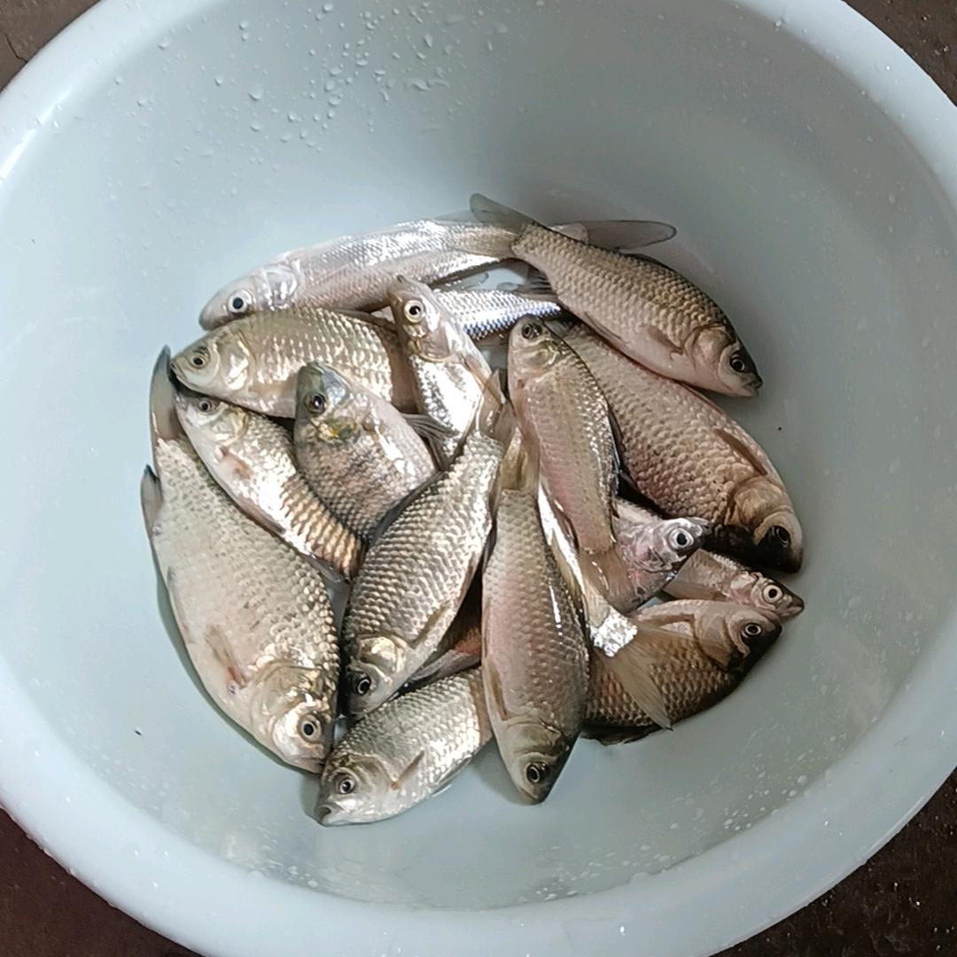 随机