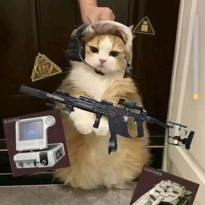 三角洲鼠鼠