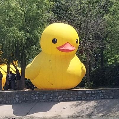 🇨🇳🇨🇳