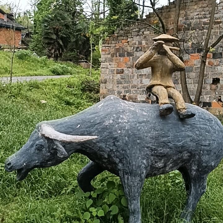 货运@度司机（71年猪）