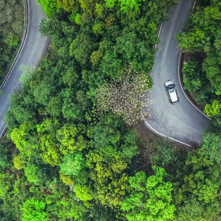 农村那个仔