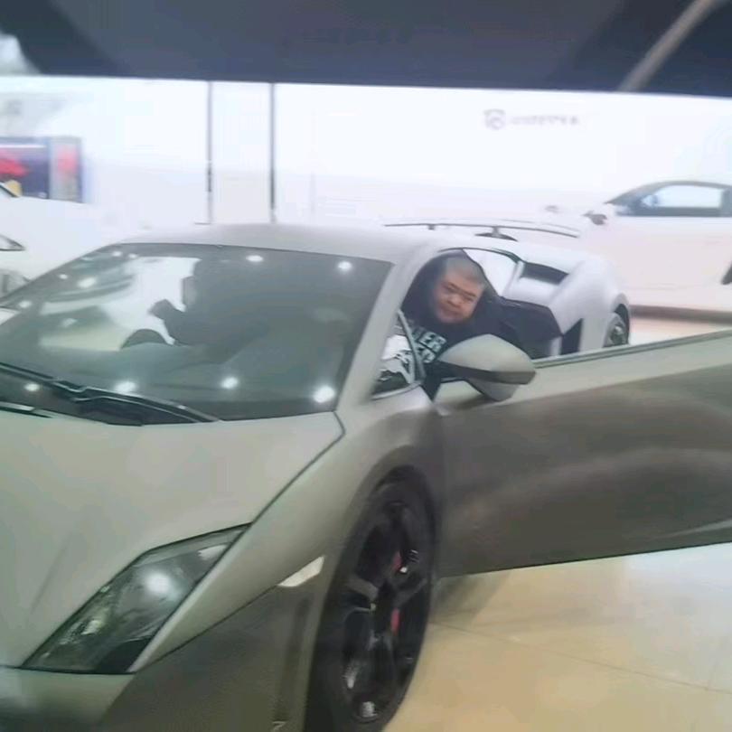 宝哥的日常生活